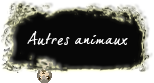 Autres animaux